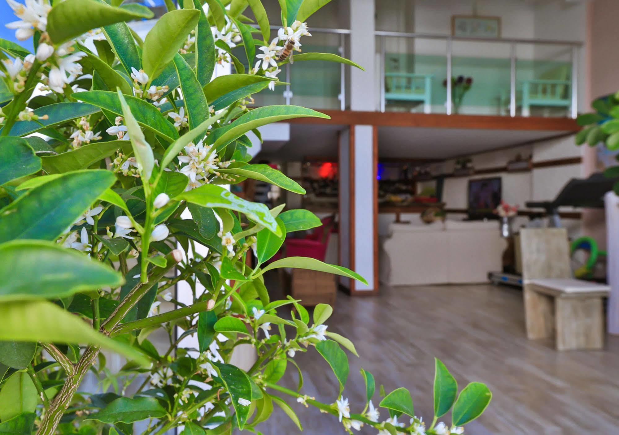 Hotel Sonne - Adults Only คาช ภายนอก รูปภาพ